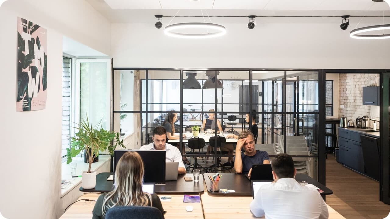 People coworking concentrating office