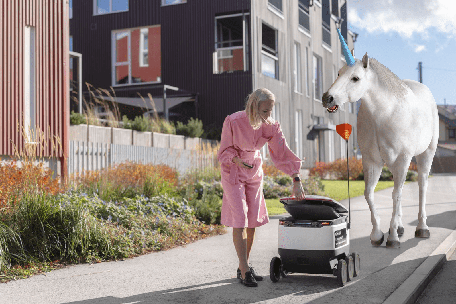 Estonia e-Residency & unicorns