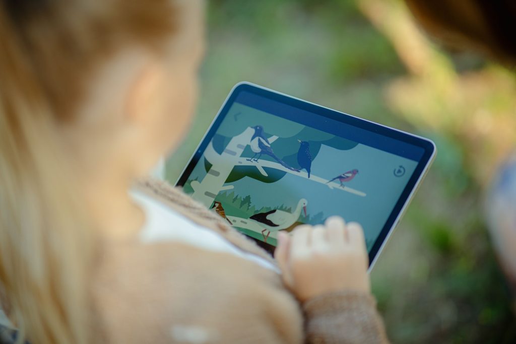 Nature picture on a tablet
