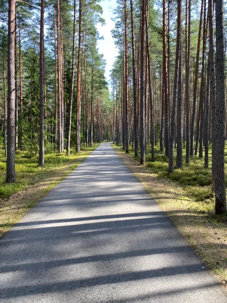 A cycle path in the forest in Estonia