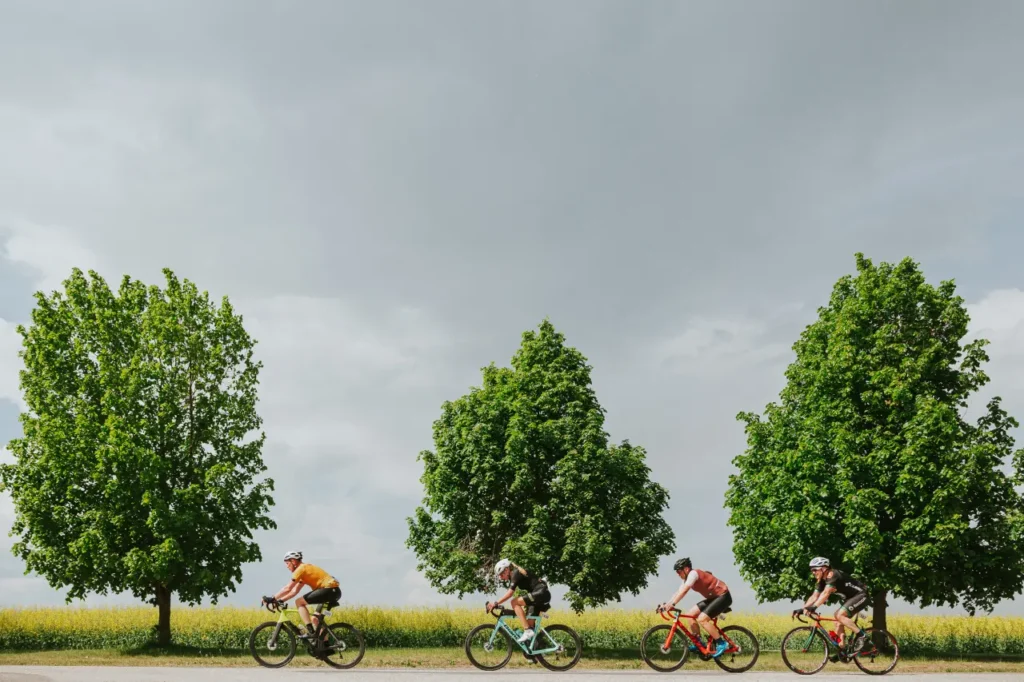 People riding bicycles